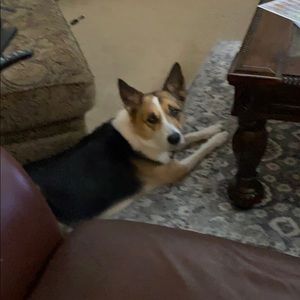 Meet your Posher, Jonathan